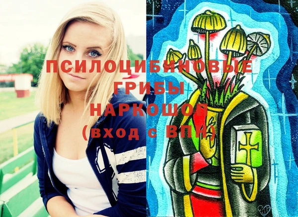 соль курить ск Арсеньев