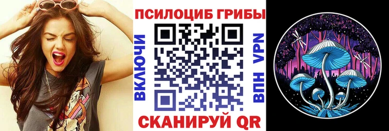 Галлюциногенные грибы Cubensis  hydra ССЫЛКА  Белёв 