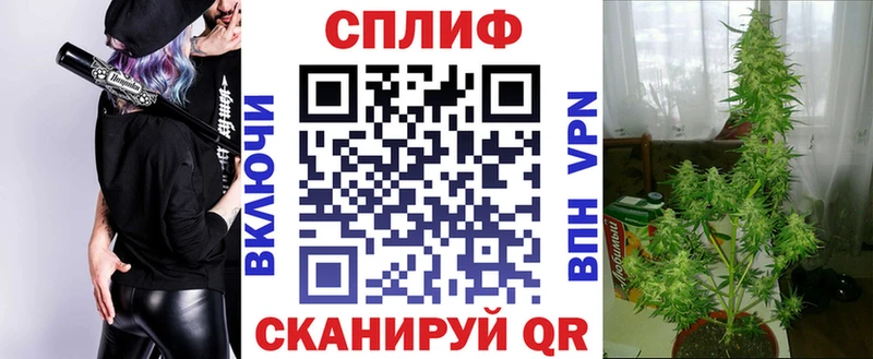 Марихуана индика  продажа наркотиков  Белёв 